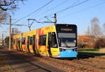 6 N2 Wagen 609 als Linie 1 von Rostock-Mecklenburger Allee nach Rostock-Hafenallee am 01.12.2024 in Rostock-Reutershagen  