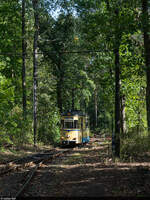 Woltersdorfer Strassenbahn Wagen 28 / Rahnsdorf, 28.