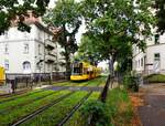 DVB Dresden__NGTDXDD auf Linie 2 nahe Hebbelplatz stadteinwärts unterwegs.-> Was nicht alles möglich ist : eine begrünte Tram-Straße im Wohngebiet !__07-2024