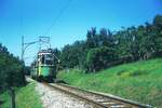 Straßenbahn Reutlingen__Die Straßenbahn in Reutlingen verkehrte das letzte Mal (auf den Linien 1 und 2) am 19.