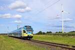 Alpha Trains Europa 429 003/503, vermietet an Keolis Deutschland -Eurobahn- (ET 9.03) als RB 78 (52284)  Porta-Express  Nienburg (Weser) - Bielefeld Hbf (Landesbergen, 24.08.2021).