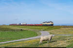 RPRS 218 480 & 218 489 / Sylt Shuttle / Friedrich-Wilhelm-Lübke-Koog, 24.