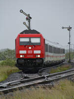 Die Diesellokomotive 245 022 wurde vor einen IC gespannt und zog diesen nach Westerland. (bei Nibüll, Juni 2024)
