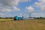 245 213-4 mit einem RE 6 nach Westerland bei Risum-Lindholm (04.07.2024)