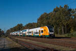 3462 512-9 der ODEG als RE1 von Magdeburg nach Frankfurt (Oder) in Groß Kreutz. Fotografiert am 24.10.2024