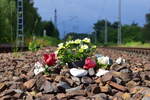 An einem kleinen Bahnübergang in Blankenfelde zwischen Moselstraße und Erich Klausener Straße fielen mir diese Blumen auf welche noch nicht alt waren. Sie erinnern an einen Jungen welcher hier im Novemer 2008 bei einer Mutprobe ums Leben gekommen ist. Bis heute legen die Angehörigen hier Blumen nieder. Nicht viele Fußgänger haben auf die Blumen geachtet aber es sollte für viele eine Warnung und eine Art Mahnmal sein wie man sich auf Bahnübergängen und Gleisen zu verhalten hat und man nicht immer Glück hat unbeschadet davon zu kommen. Auch solche Sachen gehören zur Eisenbahn dazu auch wenn nicht immer positiv. 

Blankenfelde 17.07.2020