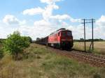 232 409 mit 45449 in Mncheberg (19.08.2006)