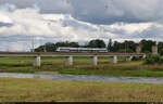 1442 114 (Bombardier Talent 2) befährt die eingleisige Elbebrücke in Torgau.

🧰 S-Bahn Mitteldeutschland (DB Regio Südost)
🚝 S 37437 (S4) Falkenberg(Elster)–Markkleeberg-Gaschwitz
🚩 Bahnstrecke Halle–Cottbus (KBS 219)
🕓 28.8.2021 | 13:12 Uhr