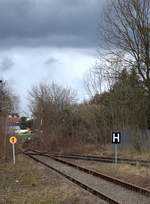 Die Vegetation breitet sich immer weiter aus, hier Bahnhof Bad Düben,das Ausfahrtssignal Richtung Söllichau ist fast nicht mehr auszumachen, es ist allerdings seit Jahren ausgekreuzt.13.03.2021 14:09 Uhr.