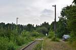 Blick vom Haltepunkt Bad Schmiedeberg Süd in Richtung Eilenburg. 1998 wurden die durchgehenden Züge nach Eilenburg eingestellt und der letzte Ast von Wittenberg nach Bad Schmiedeberg Ende 2014 eingestellt. Zuletzt gab es hier 2017 Sonderzüge. Ende 2019 wurde die Strecke wegen Oberbaumängeln betrieblich gesperrt. Seitdem verwildern einige Teile der Strecke zusehens. 

Bad Schmiedeberg 13.08.2021