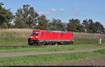 Nachschuss auf 185 294-6 als Tfzf, die am unbeschrankten Bahnübergang Zöberitzer Weg in Halle (Saale) Richtung Delitzsch fährt.