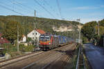 Budamar 383 223 mit einem LKW Walter KLV am 09.10.2024 bei Stadt Wehlen.