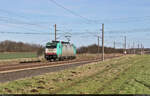 186 135-0 bewegt sich bei Hohenthurm solo gen Halle (Saale).

🧰 Alpha Trains Belgium NV/SA, vermietet an Transchem Sp. z o.o.
🕓 12.2.2022 | 13:22 Uhr