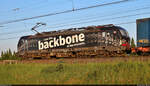  I am the backbone of the economy. 
193 318-3 (Siemens Vectron) legt vor dem Signal am Birkhahnweg in Halle (Saale) einen mehrminütigen Halt ein und konnte so in Ruhe abgebildet werden. Das schwarze Einzelstück bespannt einen KLV-Zug der LKW Walter Internationale Transportorganisation AG Richtung Bitterfeld.

🧰 DB Cargo
🕓 20.5.2024 | 20:01 Uhr