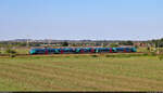 Blau statt silbern ist 1442 308 gehalten. Der fünfteilige Bombardier Talent 2 will Berufseinsteigern Tätigkeiten bei DB Regio Südost schmackhaft machen.
Eine Gelegenheit, ihn zu fotografieren, gab es bei seiner verzögerten Einfahrt in den Knoten Halle (Saale) an der Osttangente.

🧰 S-Bahn Mitteldeutschland (MDSB II | DB Regio Südost)
🚝 S 37855 (S8) Bitterfeld–Halle(Saale)Hbf [+10]
🕓 6.8.2024 | 17:45 Uhr