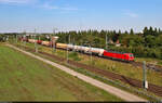 Ein Gemischtwarenladen aus Richtung Bitterfeld mit 6193 380-3 (Siemens Vectron) lässt sich am Birkhahnweg in die Zugbildungsanlage (ZBA) Halle (Saale) rollen.