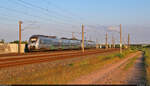 1442 617 und 1442 121 (Bombardier Talent 2) rauschen bei Benndorf (Kabelsketal) ihrem Ziel entgegen.