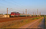 232 088-5 (132 088-6) unternahm einen Ausflug ins Elbtal.