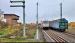 Mit einem Lichtgruß durchfährt 246 001-2 als Tfzf den Bahnhof Northeim(Han) auf Gleis 1 Richtung Kreiensen. Diesen erwidere ich hiermit gerne.
Das Bild entstand am Bahnsteigende.

🧰 Havelländische Eisenbahn AG (HVLE)
🕓 18.11.2022 | 11:06 Uhr