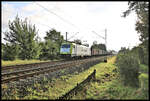 Cptrain 186158-2 ist hier am 25.8.2024 um 8.13 Uhr in Hasbergen auf der Rollbahn mit einem Kohlezug in Richtung Münster unterwegs.