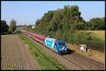 Train Charter 101133ex DB ist hier am 20.9.2024 um 10.58 Uhr mit dem Müller TCS 26048 nach Leipzig auf der Rollbahn in Osnabrück-Hellern unterwegs.