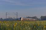 462 030 und ein weiterer RRX-Triebzug in Hamm-Selmigerheide (03.11.2024) 