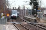 1442 622 und 1442 635 fahren am 11.01.2014 mit der S5X durch den Hp Schweinsburg-Culten den Zielbahnhof nach Zwickau (Sachs) Hbf entgegen.