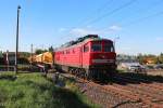 Am 06.05.2015 kommt die altbelüftete 232 117-2 mit einem langem Bauzug durch den Block in Niederhohndorf gefahren, die Reise ging weiter nach Nürnberg. Hier noch ein Link zu einem Video von dem Bauzug: http://www.bahnvideos.eu/video/deutschland~strecken~kbs-510-dresden-zwickau-hof/20009/die-altbel252ftete-232-117-2-kommt-am.html