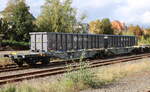 Im Bahnhof von Hainichen standen am 11.10.2024 neue Eanos und Sggmrss Wagen von Ermewa. Hier sind der Ermewa 33 857 5386 368-1 F-ERSA Eanos und der 33 87 4961 820-7 F-ERSA Sggmrss zusehen.