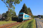  Alex  223 063 mit einem Reisezugwagen unterwegs. Wegen Sperrung der Elstertalbrücke Aufgrund von Bauarbeiten musste dieser Zug, der nach Schwandorf sollt auf die KBS 539 ausweichen. Hier am 28.08.2024 in Schöneck/Vogtl. 