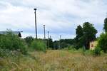 Der Bahnhof Auma ist nur noch durch die Pilzlampen erkennbar. Versteckt unter dichtem Gras war hier leider kein Durchkommen möglich. Der Personenverkehr wurde am 24. Mai 1998 eingestellt und der Güterverkehr weinge Monate später Ende 1998. Seit dem 1.1.2005 ist die Strecke offiziell stillgelegt. 

Auma 31.07.2023