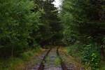 Auf durch den dunkelen Wald. Blick vom Bahnübergang L1077 in Richtung Moßbach und Triptis. Der Personenverkehr wurde am 24. Mai 1998 eingestellt und der Güterverkehr wenige Monate später Ende 1998. Seit dem 1.1.2005 ist die Strecke offiziell stillgelegt. 

Moßbach 31.07.2023