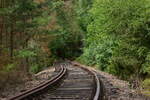 Bogen um Bogen durch den Thüringer Wald. Die Thüringer Oberlandbahn verlief durch bergiges Gelände was den Bau von vielen Tunnels, Brücken und Bögen notwendig machte. Der Personenverkehr wurde am 24. Mai 1998 eingestellt und der Güterverkehr wenige Monate später Ende 1998. Seit dem 1.1.2005 ist die Strecke offiziell stillgelegt. Mittlerweile rollen hier nur noch Draisinen entlang. 

Remptendorf 01.08.2023