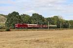 243 002-3 und 118 005-8 überführten die in Zinnowitz abgestellten 201 380 und 201 792 am 11.08.2019 nach Arnstadt. Hier ist die Fuhre bei Bad Kösen zu sehen.