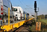 Eine Kolonne Renault Master bewegt sich mit 186 127-7 an der Spitze Richtung Halle-Ammendorf.
Experimenteller Nachschuss am km 9,1 bei Schkopau, direkt auf dem Saaleradweg, der die dortige Bahnbrücke mitnutzt und daher sehr nah an den Gleisen verläuft.

🧰 Alpha Trains Belgium NV/SA, vermietet an die CFL cargo Deutschland GmbH
🕓 25.9.2023 | 9:04 Uhr