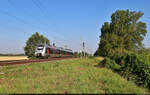 9442 106 (Bombardier Talent 2) rollt in der Saaleaue zeitverzögert seinem Ziel entgegen.