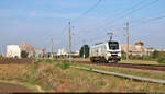 Schon einmal vor gut zwei Jahren an genau gleicher Stelle fotografiert: 2159 236-9  Caro  (Stadler Eurodual), die in diesem Nachschuss als Tfzf, von Halle (Saale) kommend, auf den Bahnhof Teutschenthal zufährt.

🧰 European Loc Pool AG (ELP), vermietet an die Schweerbau Logistik GmbH
🕓 3.9.2024 | 9:26 Uhr