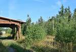 Blick auf den stillgelegten Abschnitt des Keilbahnhofs Großbothen. Hier fuhren früher die Züge nach und von Rochlitz ab. Seit 2000 ist dort der Verkehr eingestellt.

Großbothen 12.08.2021