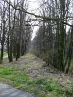 Die einstige Bahntrasse der Muldentalbahn in Nimbschen Ri.