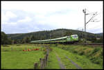 Bei Wirtheim ist dieser Flix Train  am 4.10.2024 um 15.18 Uhr in Richtung Hanau unterwegs.