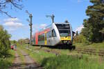 HLB 646 401 verlässt den Bahnhof Ober-Widdersheim als RB46 nach Gelnhausen.