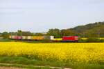 DB Cargo Bombardier Traxx 185 357-1 mit DHL Zug bei Nidderau 27.04.24 