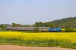 RTB Cargo Siemens Smartron 192 061-0 mit ARS Altmann Autozug bei Nidderau am 01.05.24