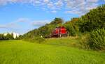 V60 447 mit Flachwagen in Schöneck-Kilianstädten am 09.08.24