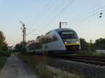 HLB/Kahlgrundbahn Siemens Desiro (BR 642) VT 301 am 21.08.15 bei Hanau 