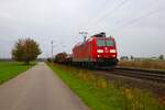 DB Cargo Bombardier Traxx 185 038-7 mit gemischten Güterzug in Babenhausen (Hessen) am 02.11.24