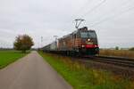 HSL Bombardier Traxx 185 600-4 und 185 xxx-x bei Babenhausen (Hessen) am 02.11.24