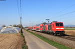 146 236-5  Schwarzwaldbahn Erlebnispfad/Triberg   mit dem RE 5345 (Offenburg-Basel Bad Bf) bei Niederschopfheim 24.3.20