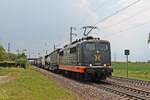 Am Mittag des 25.05.2019 fuhr HCTOR 162.005 (151 133-6)  Herzog  mit dem Containerzug nach Rheinhausen südlich vom Haltepunkt Auggen über die RHeintalbahn durchs Markgräflerland in