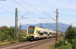 1462 004 und 1462 013 als RE 5334 (Basel SBB-Offenburg) bei Köndringen 23.7.20